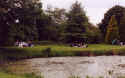 Picnicing1.jpg (126198 bytes)