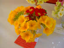 WestonSpring09Polyanthus.jpg (48448 bytes)