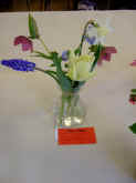 WestonSpring09SpringFlowers.jpg (37726 bytes)