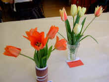 WestonSpring09Tulips.jpg (48232 bytes)